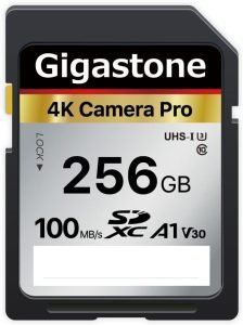 Gigastone 256GB SD Card V30 SDXC Memory Card High Speed 4K Ultra HD UHD Video Compatible with Canon Nikon Sony Pentax Kodak Olympus Panasonic Digital Camera, with 1 Mini case