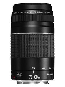 Best Canon Lens for Outdoor Family Portraits