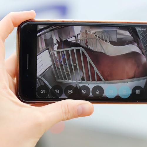 Best Camera for Inside Horse Trailer
