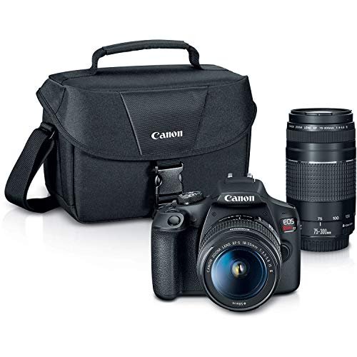 Best Camera for Macro Photography