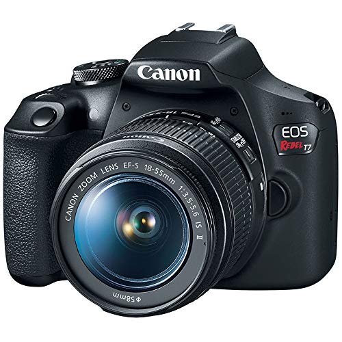 Best Camera for Night Photography