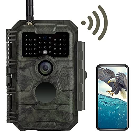 Best Camera for Waterfowl Hunting