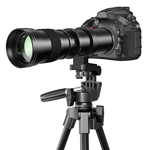 Best Camera Lenses for Sports