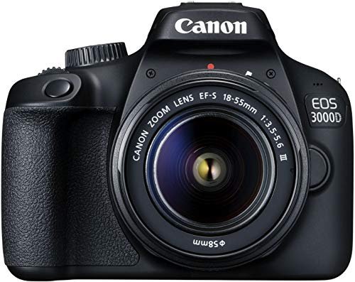 Best Cameras for Beginners Travel