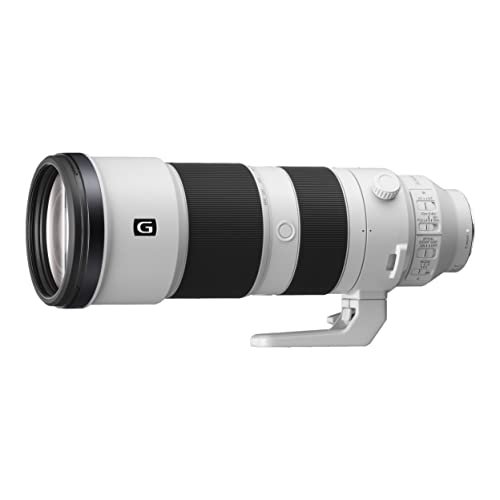 Best Lenses for Dslr Cameras