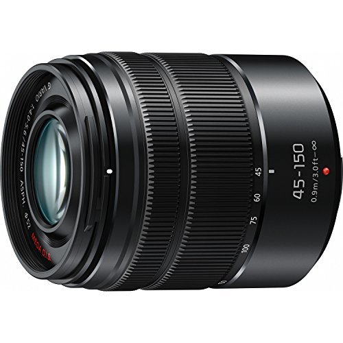 Best Lenses for Micro Four Thirds Cameras