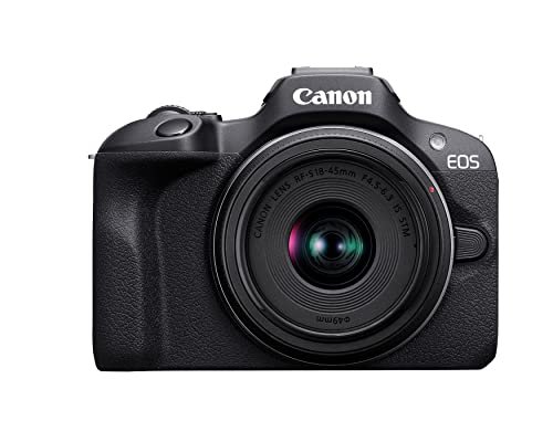 Best Mirrorless Camera for Bird Photography