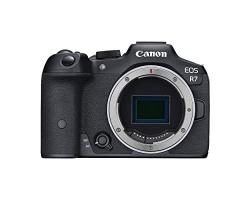 Best Mirrorless Camera for Sports