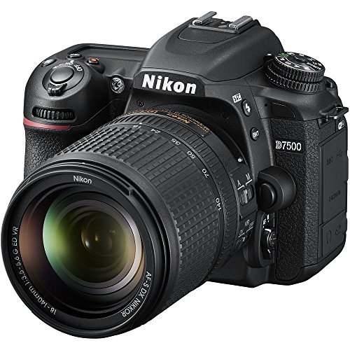 Best Nikon Camera for Beginners