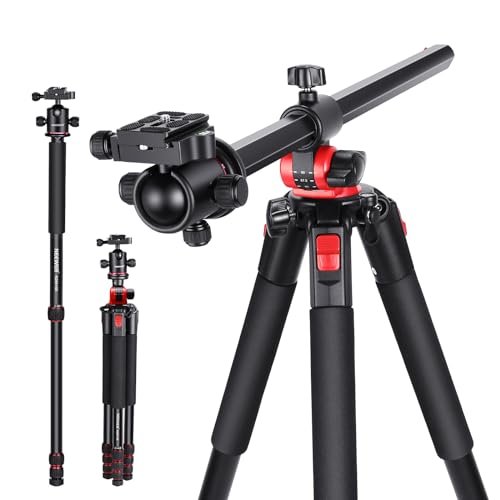 Best Tripod for Overhead Shots