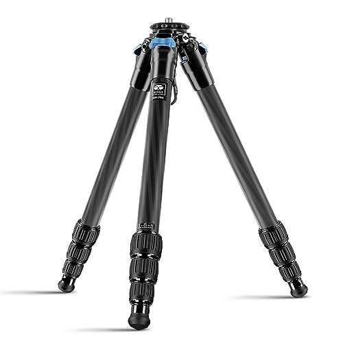 Best Tripod for Wildlife Photography