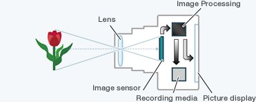 How a Digital Camera Works