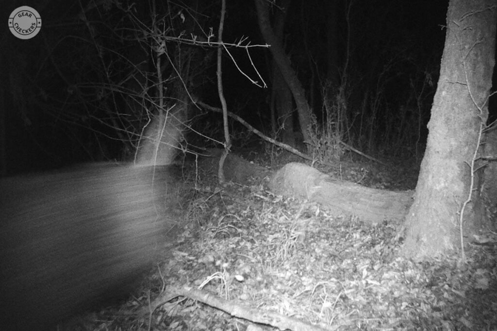 How Do Trail Cameras Work at Night