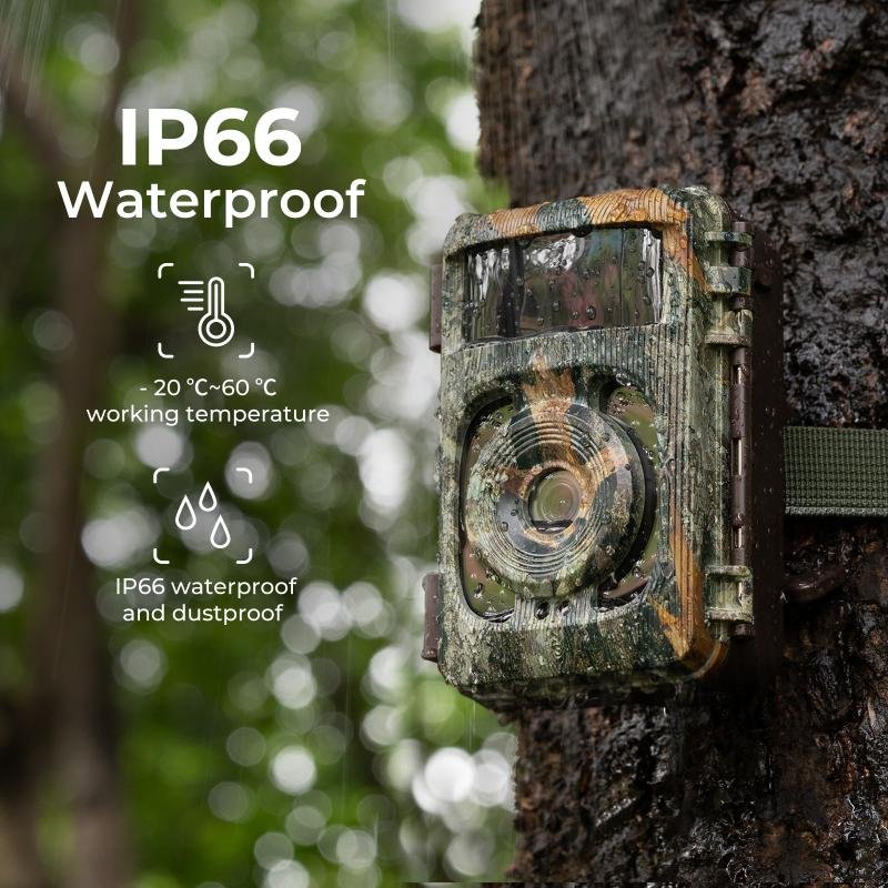 How Do Trail Cameras Work Without Wifi