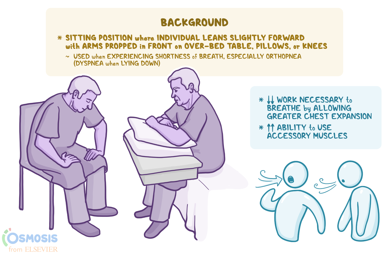 How Does Tripod Position Help Breathing: Breathe Easier - Camera Recaps