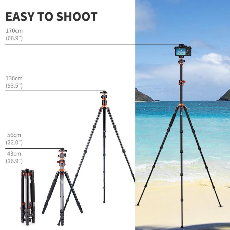 How to Set Up a Tripod for a Portrait Photograph