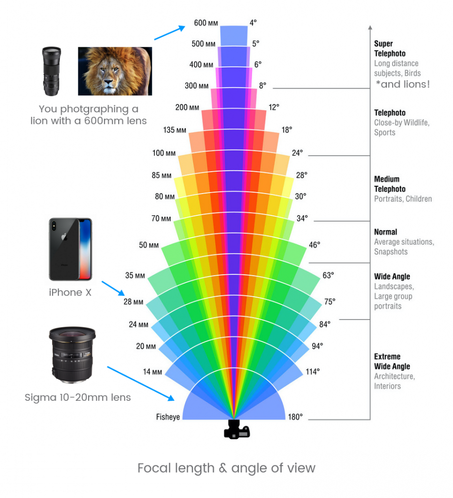 What Do Mm Mean in Camera Lenses