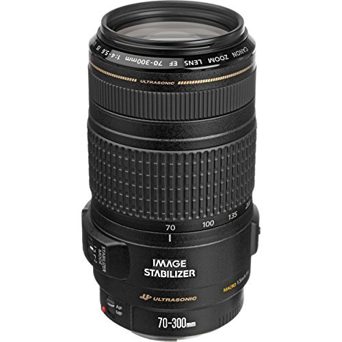 Canon Ef 70-300Mm Lens Review