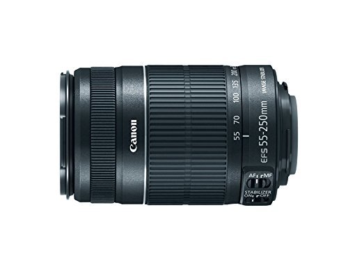 Canon Ef-S 55-250Mm Lens Review