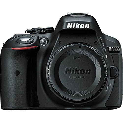 Nikon D5300 Review