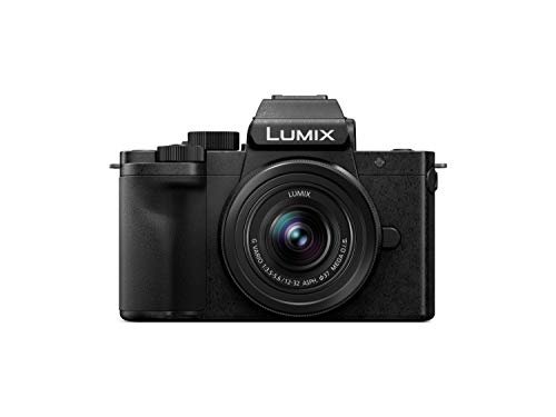 Panasonic Lumix G100 Review