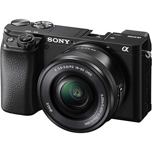 Sony Alpha A6100 Review