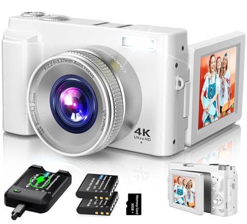 Best Compact Camera for Artists