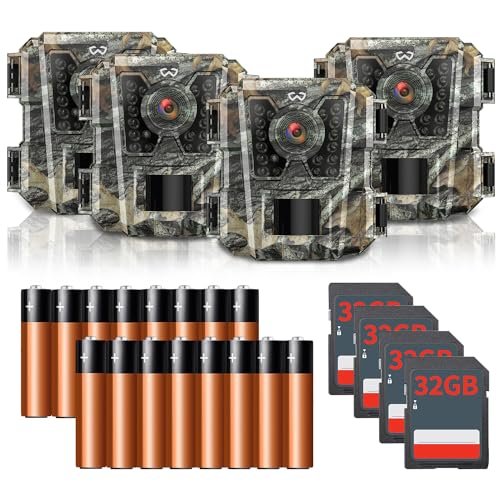 Best Compact Camera for Wildlife
