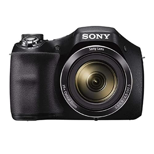 Best Entry Level Camera for Sports Photography