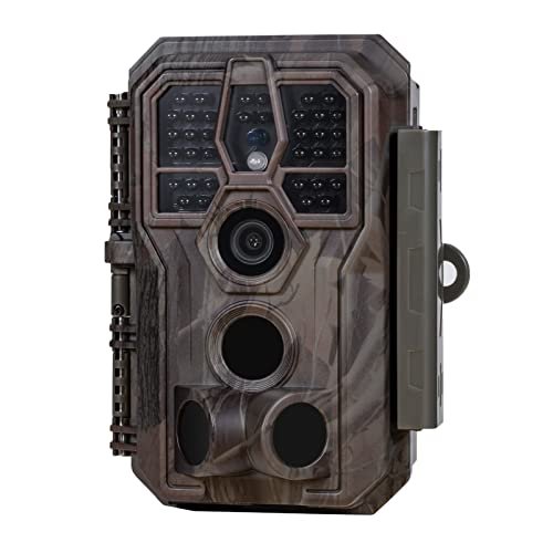 Best Film Camera for Wildlife