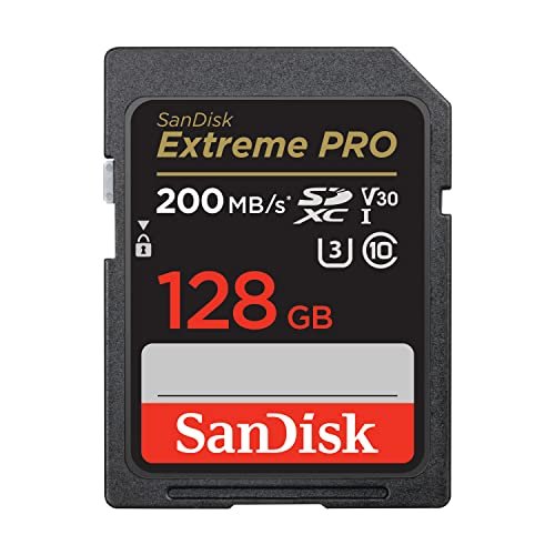 Best Memory Card for Canon Camera