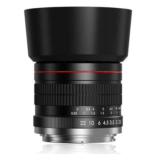 best nikon lenses for d500