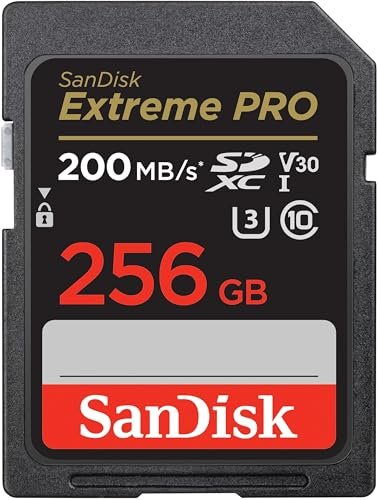 Best Sd Memory Card for Camera