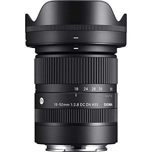 best sigma lenses for sony e mount