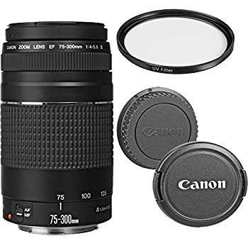 Canon Ef 75-300Mm F/4-5.6 Iii Review