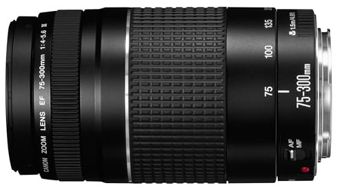 Canon Rf 75-300Mm F/4-5.6 Lens Review