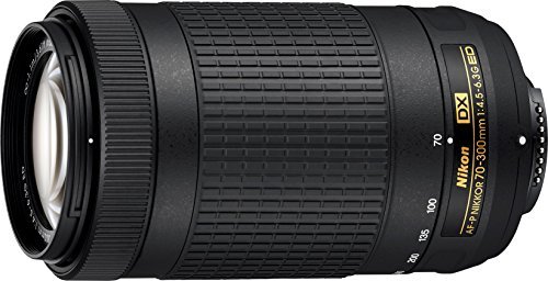 Nikon Af-P Dx Nikkor 70-300Mm Review