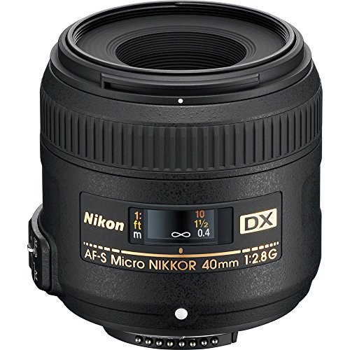 Nikon Af-S Dx Micro-Nikkor 40Mm F/2.8G Review