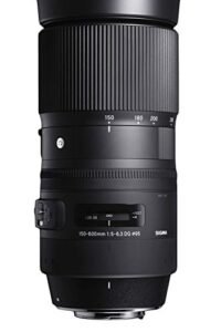 Sigma 150-600Mm Lens Review