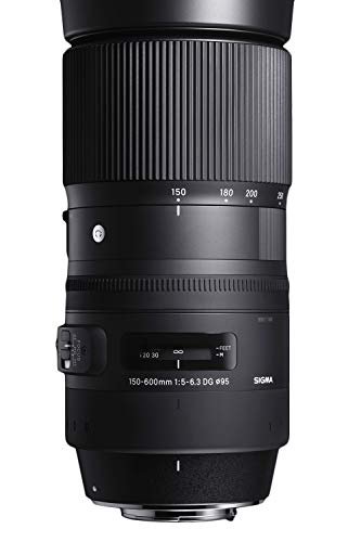 Sigma 150-600Mm Lens Review