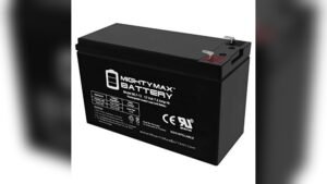 best 12v battery for trail camera