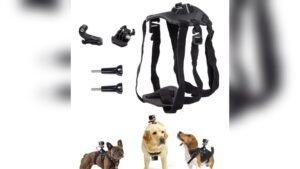 best action camera for dog
