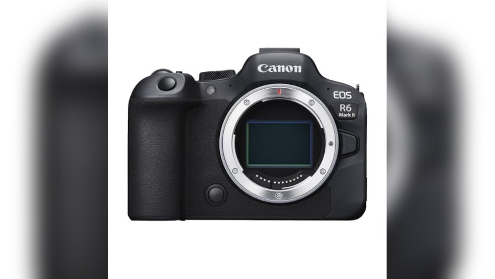 best canon mirrorless camera for professionals