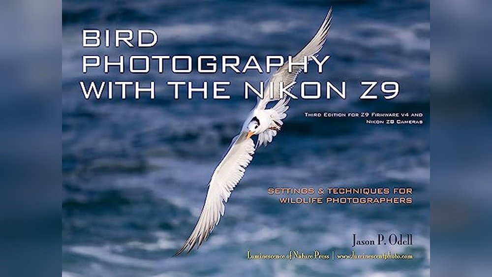 best nikon camera for bird photography