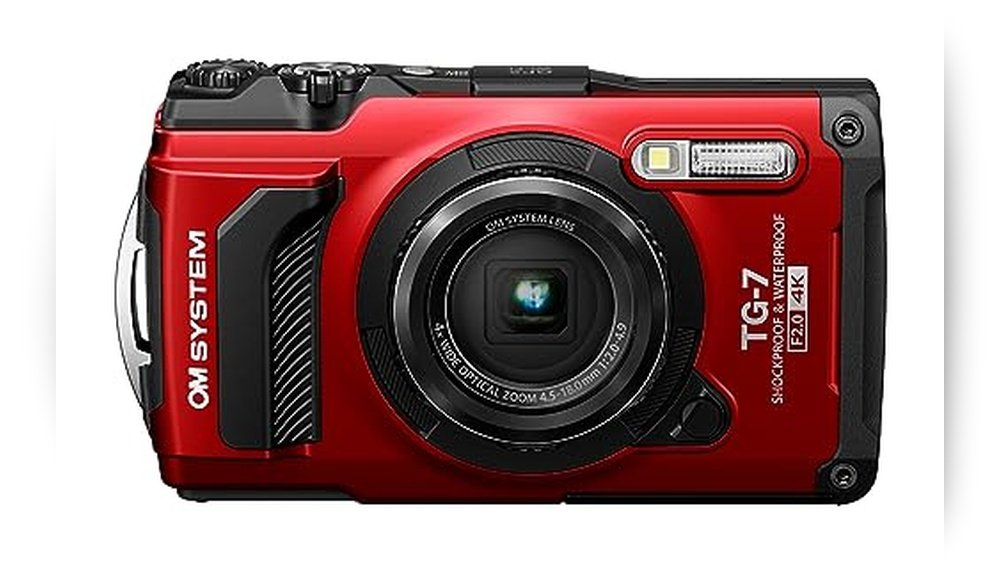 best olympus camera for beginners