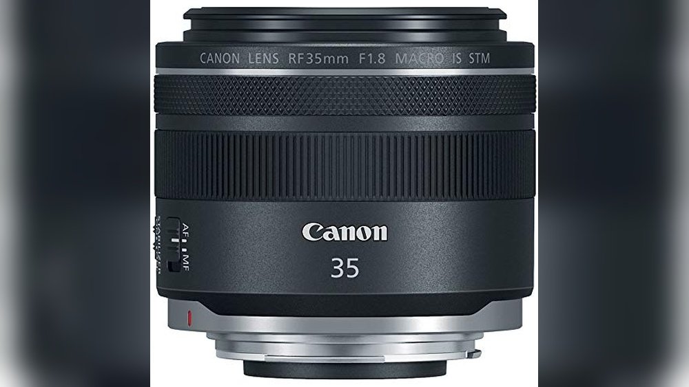 best canon macro lens for insect photography