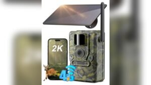 best no glow trail camera for security