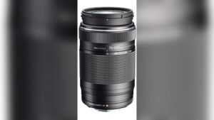 best olympus lenses for wildlife