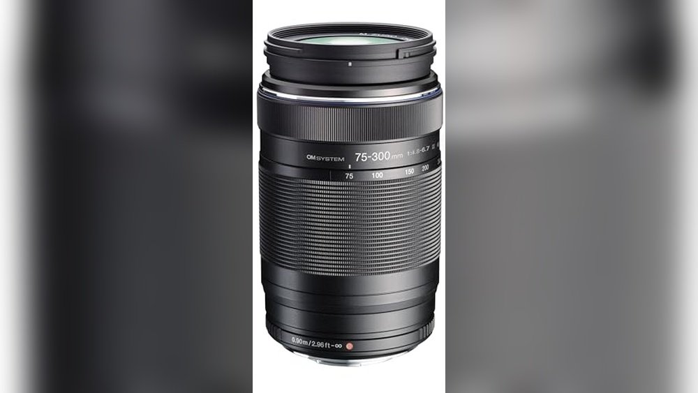 best olympus lenses for wildlife