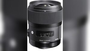 best sigma art lens for nikon